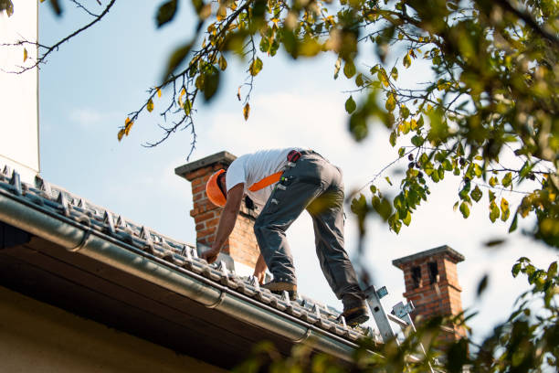 Best Roof Leak Repair  in Seyur, MO