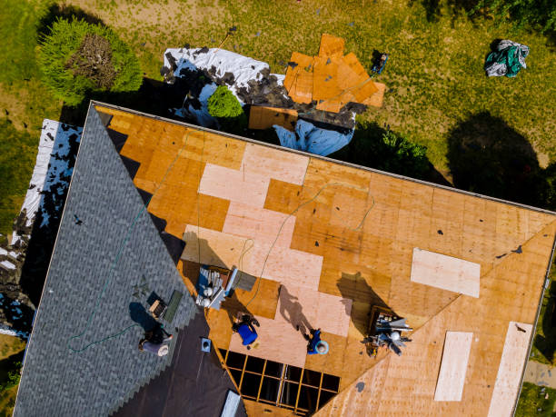 Best Shingle Roofing Installation  in Seyur, MO
