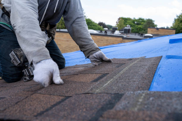 Residential Roof Replacement in Seymour, MO