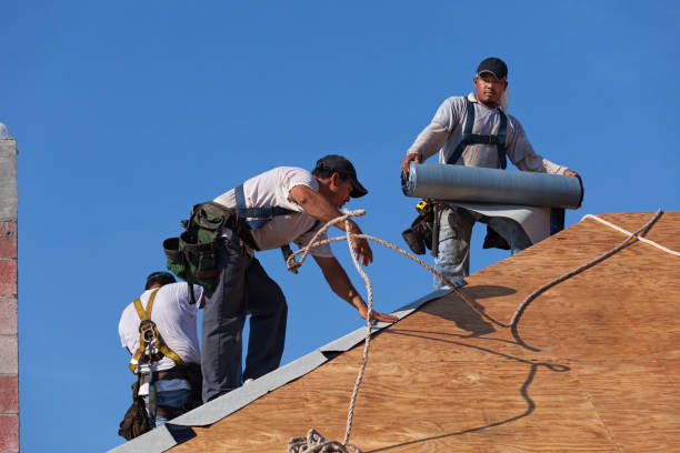 Best Roof Gutter Cleaning  in Seyur, MO